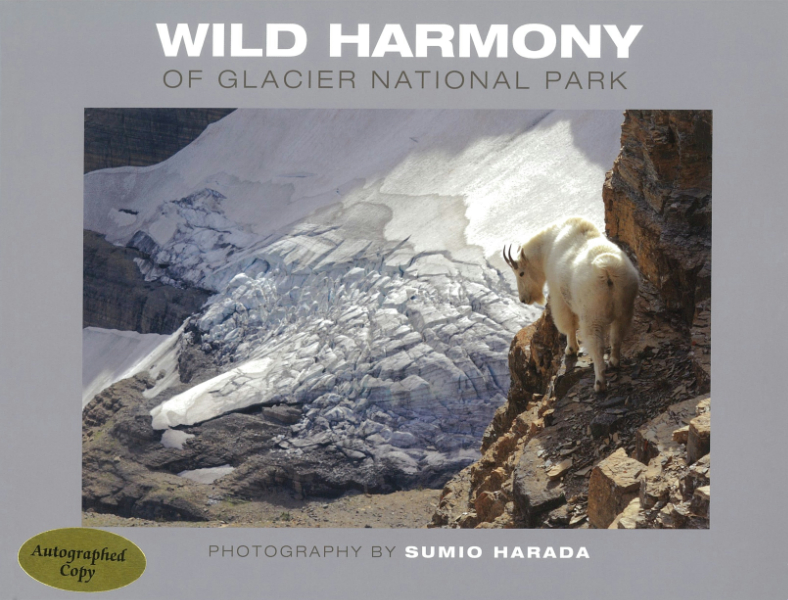Wild Harmony Of Glacier National Park